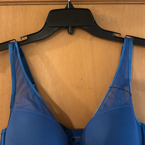Curvy Couture Women’s Underwire Bra Blue Size 40C - Picture 3 of 8